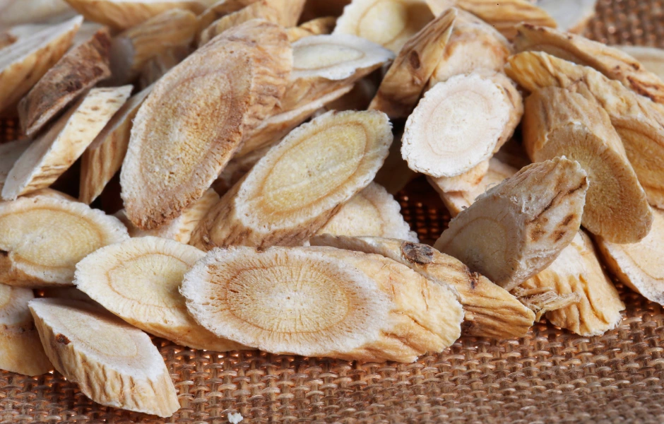 Opnasti kozlinac – Astragalus membranaceus